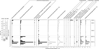 Suzdalevo Lake (Central Siberia, Russia)—A Tunguska Event-Related Impact Crater?